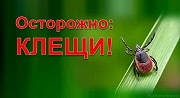 О профилактике клещевого энцефалита