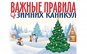 Памятка для родителей в период зимних каникул