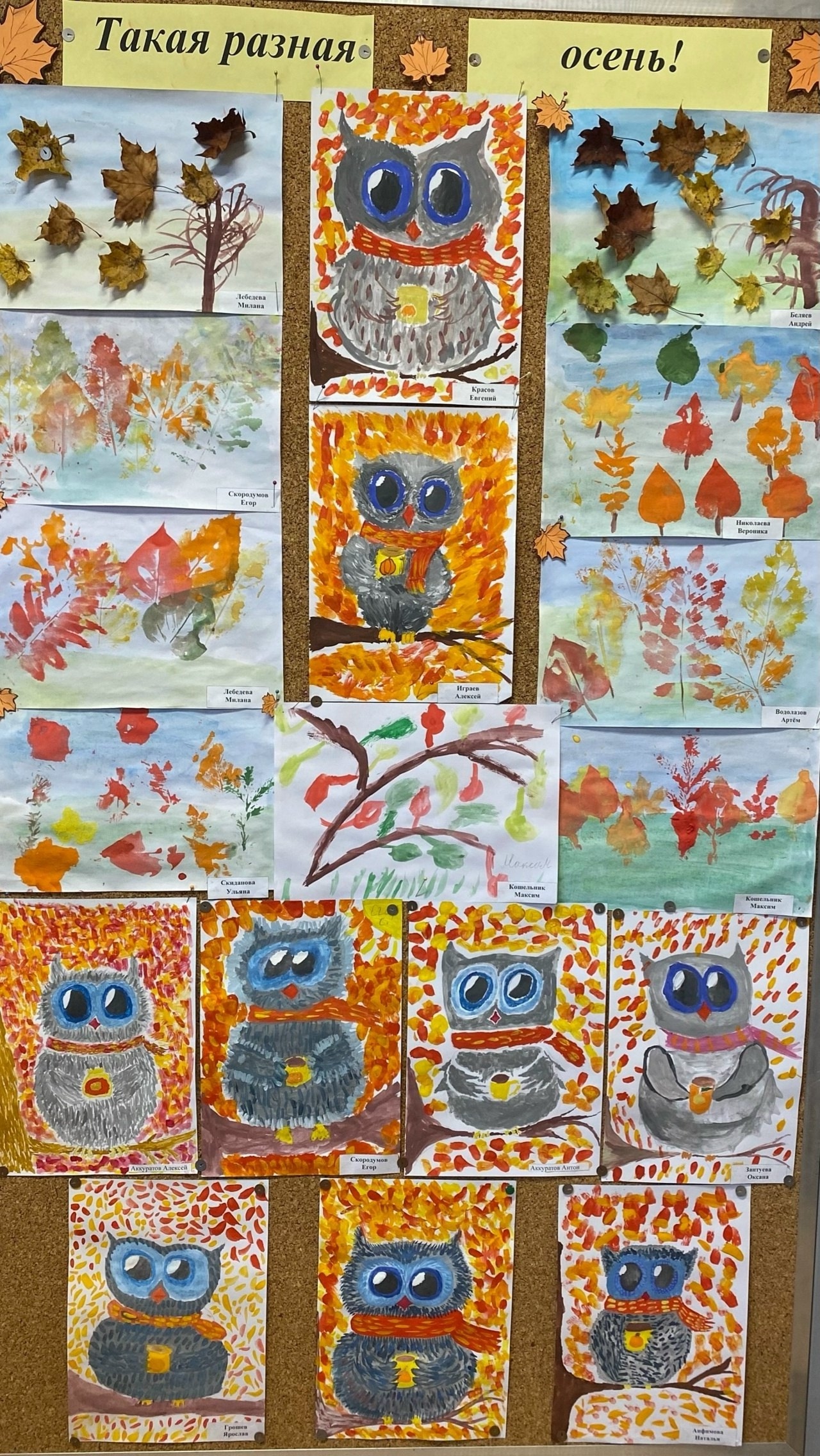 Такая разная осень! 